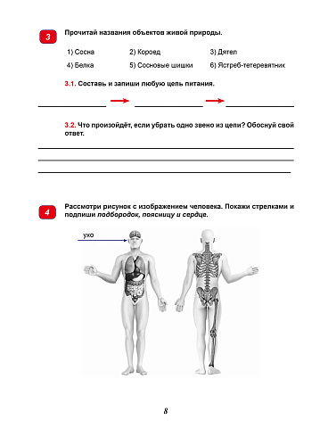 Всероссийская проверочная работа. 4 класс. Окружающий мир. 15 типовых работ 