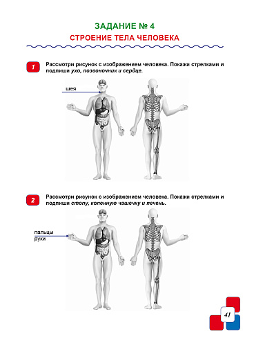 ВПР. Всероссийская проверочная работа. 4 класс. Окружающий мир. 150 типовых заданий 