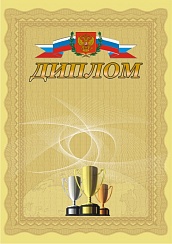 Диплом. А4 + CD шаблон