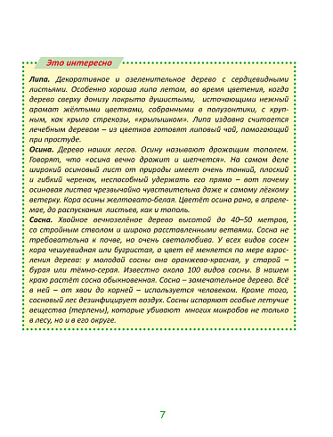 Комплексные проверочные работы 2 класс. Тетрадь