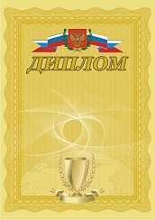 Диплом. А4 (с золотым теснением) + CD