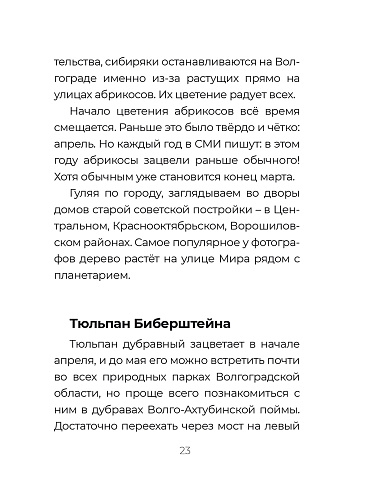 Степная ботаника 