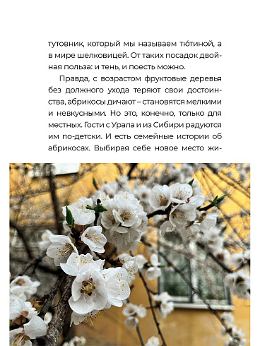 Степная ботаника 