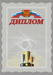 Диплом. А4 (с серебрянным теснением) + CD шаблон