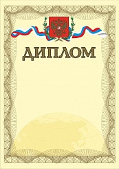 Диплом. А4 (с золотым теснением) + CD шаблон