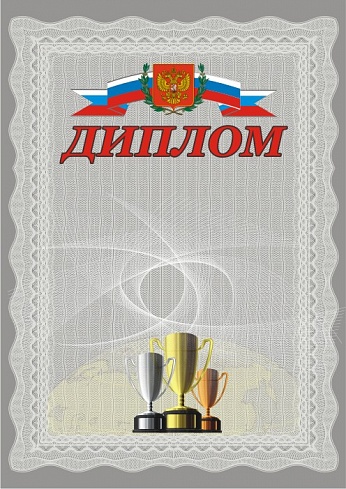 Диплом. А4 (с серебрянным теснением) + CD шаблон
